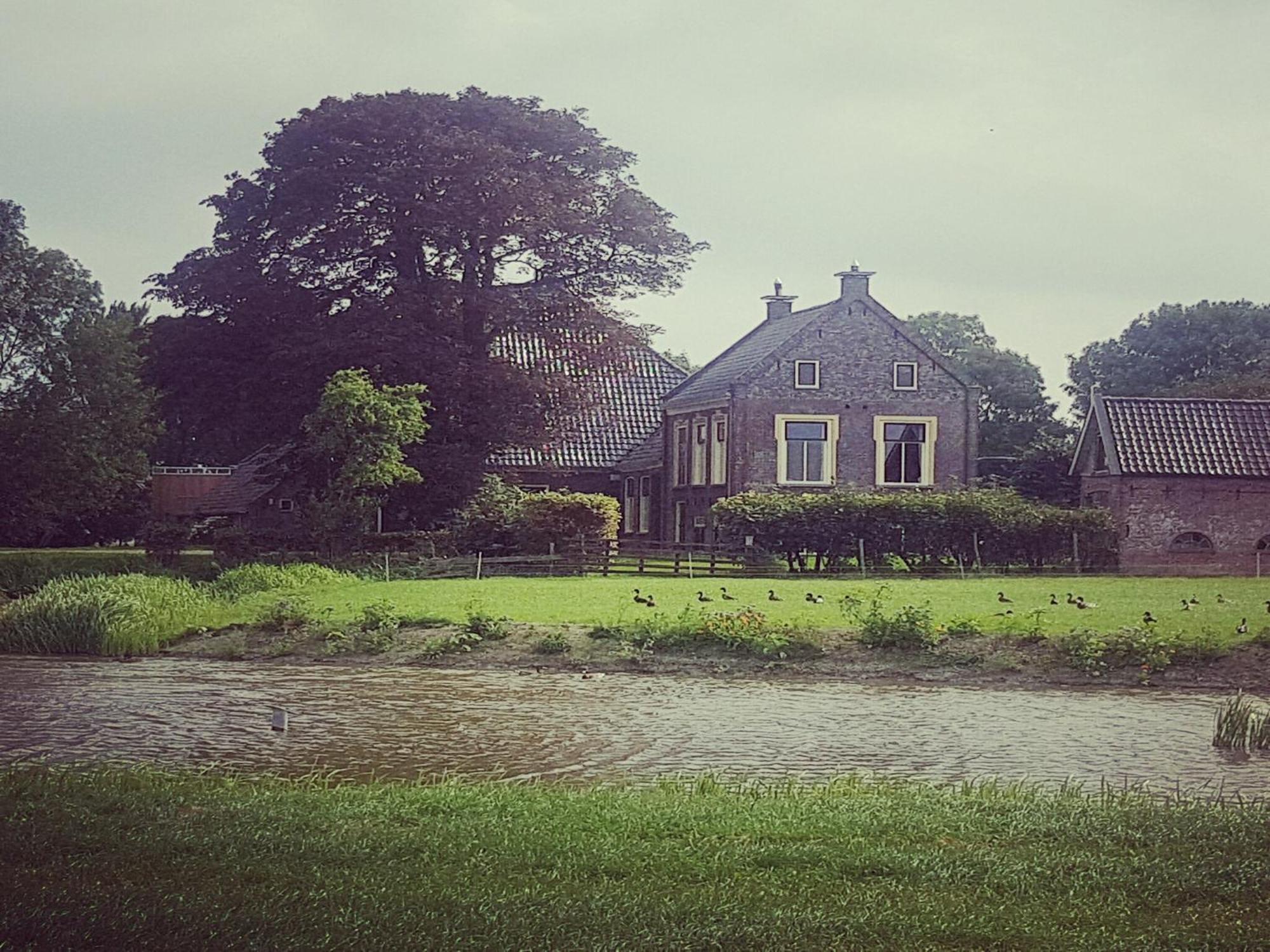 Charming House In Easterlittens On A Frisian Farm Wommels Ngoại thất bức ảnh
